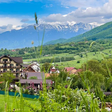 Zărneşti Vila Hora Cu Brazi מראה חיצוני תמונה