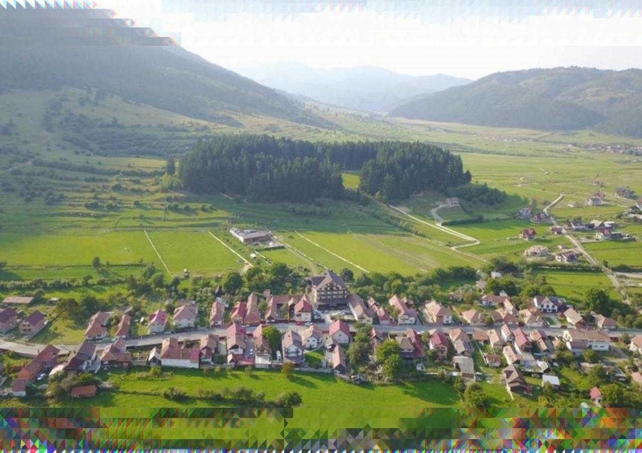 Zărneşti Vila Hora Cu Brazi מראה חיצוני תמונה