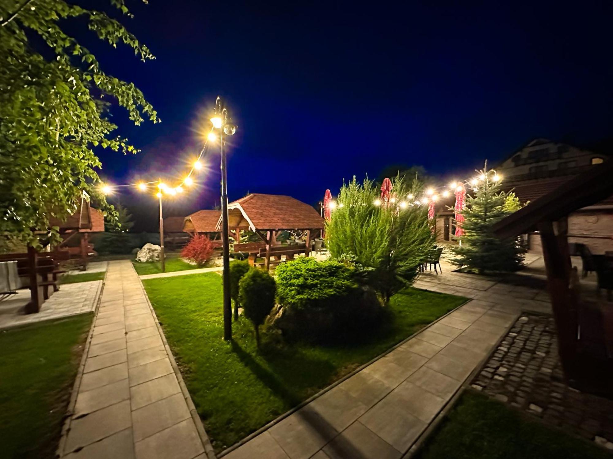 Zărneşti Vila Hora Cu Brazi מראה חיצוני תמונה